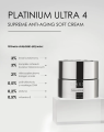 Platinium_soft_cream_1.jpg