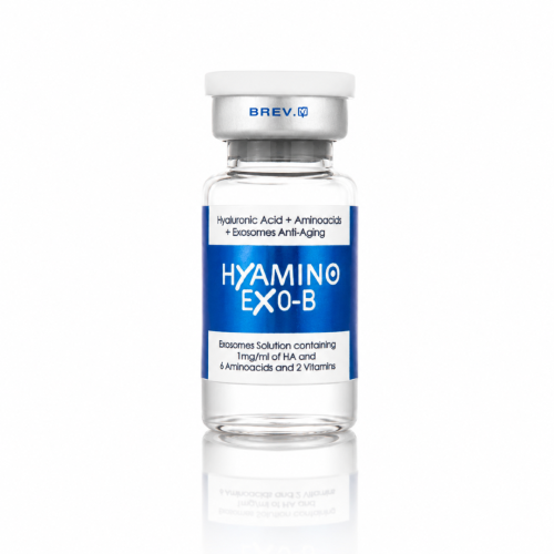 hyamino-ex0-b.png