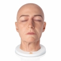 model-anatomiczny-glowy-full-julia_1.jpg