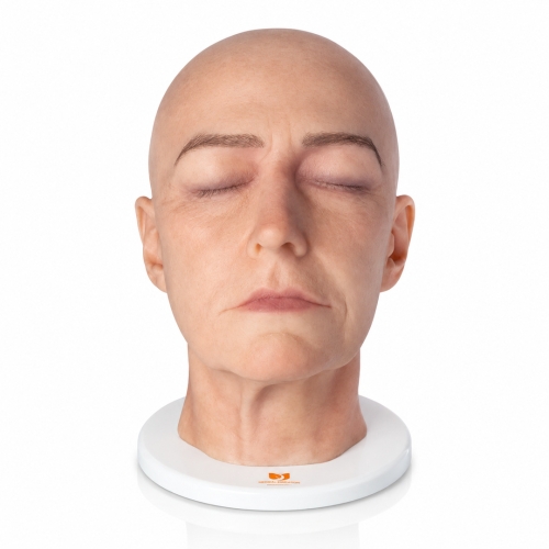 model-anatomiczny-glowy-full-julia_1.jpg