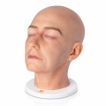model-anatomiczny-glowy-skora-twarzy-widok-skosny.jpg