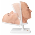 model-anatomiczny-glowy-regulowany-stojak.jpg