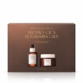 skin1004-madagascar-centella-probio-cica-nourishing-set (1).jpg